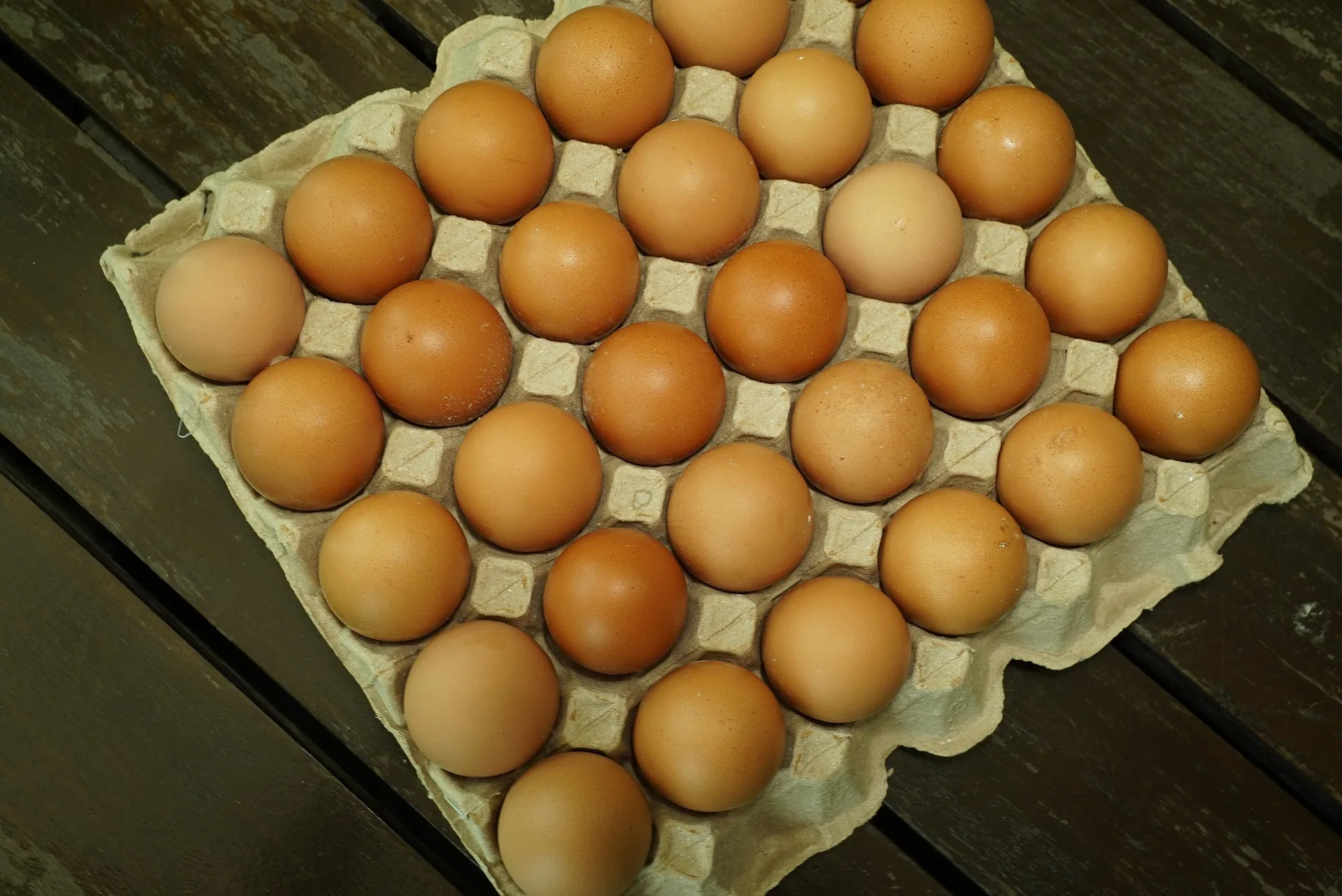 Fresh Egg Supply